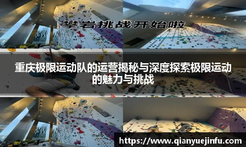 龙珠体育直播