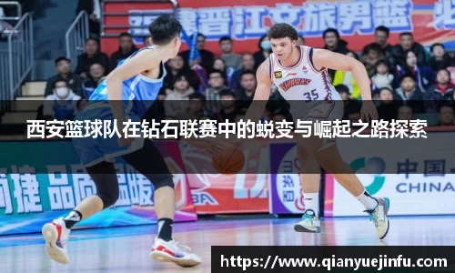 龙珠体育直播在线观看