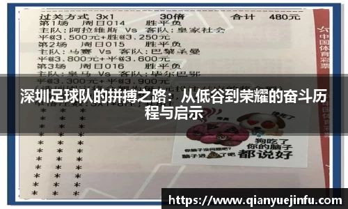 龙珠足球直播