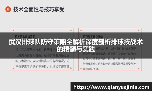 龙珠体育直播