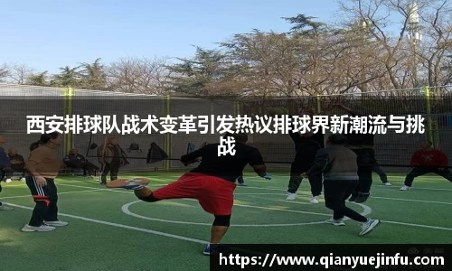 龙珠体育