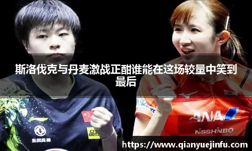 龙珠体育