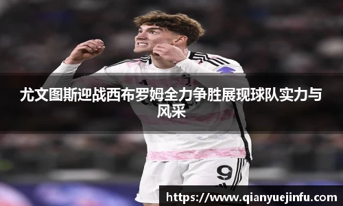 龙珠体育直播