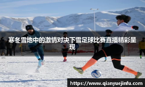 龙珠体育
