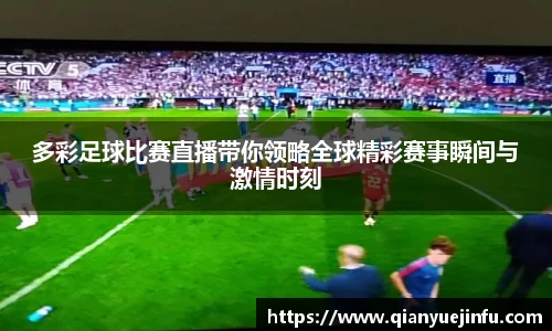 龙珠体育直播在线观看
