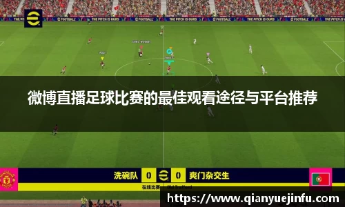 龙珠体育