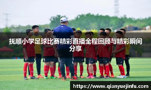 龙珠体育直播
