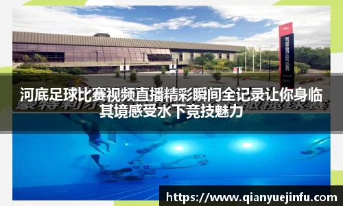 龙珠体育直播在线观看