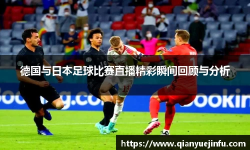 龙珠体育直播