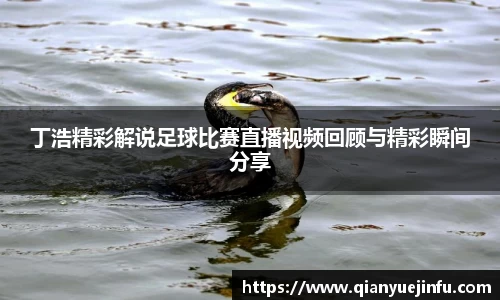 龙珠足球直播