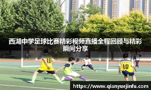 龙珠体育