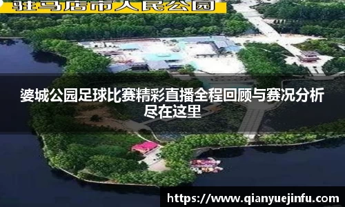 龙珠体育