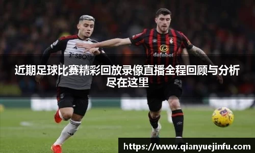 龙珠体育