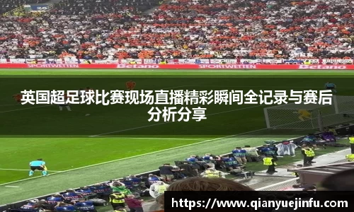 龙珠体育直播