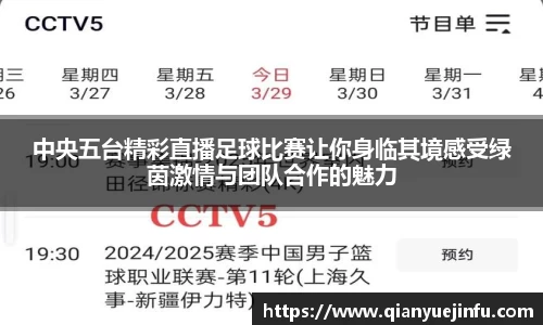 龙珠足球直播