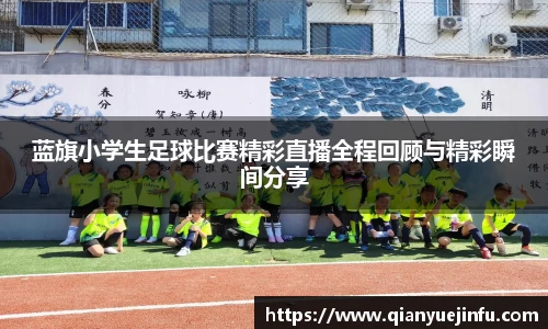 龙珠体育直播